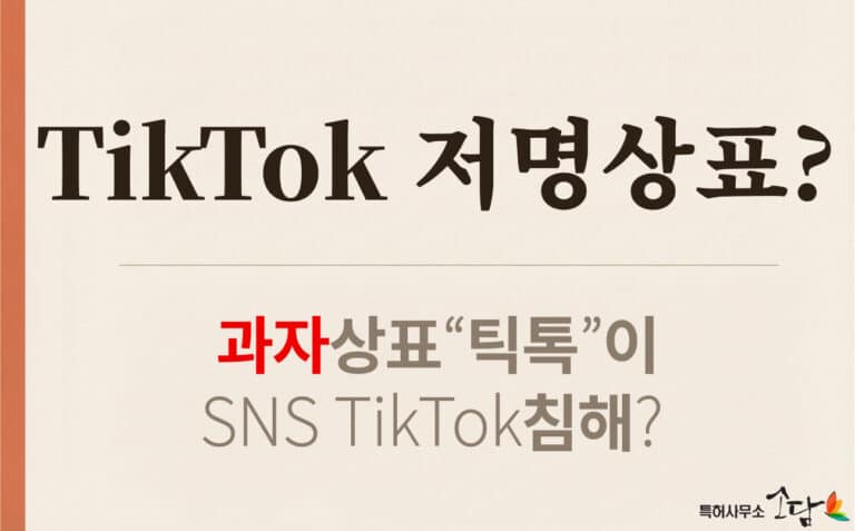 간식류 ‘틱톡’이 SNS 플랫폼 TikTok의 저명상표를 침해한다?